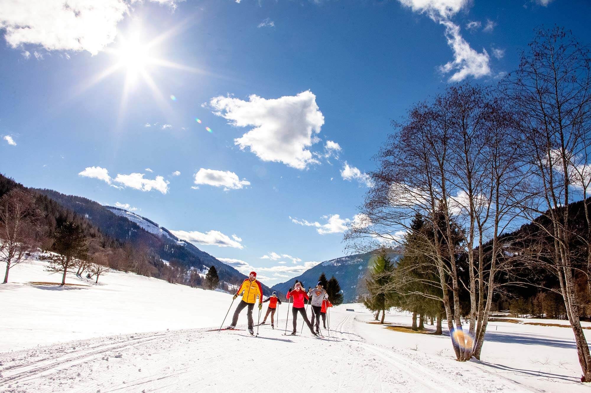 A group of cross-country skiers walking along a beautiful trail surrounded by nature.