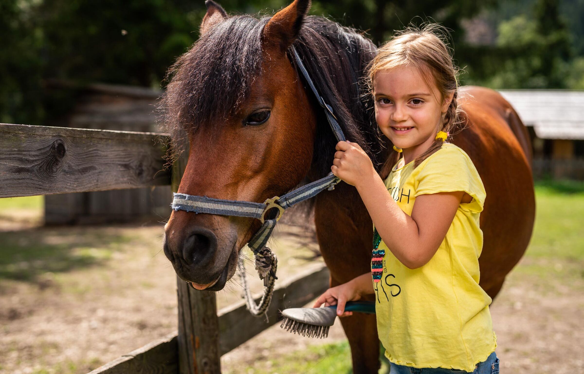 Ein Mädchen das ein braunes Pony auf der Trattlers Ponyfarm striegelt.