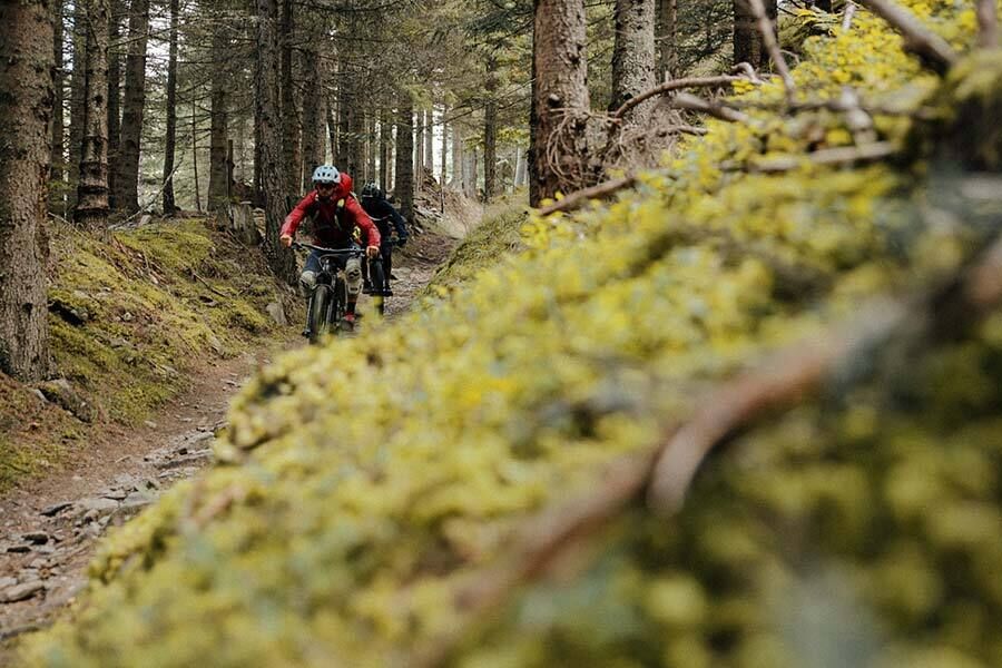 Zwei Personen die in der Natur im Wald Mountainbiken.