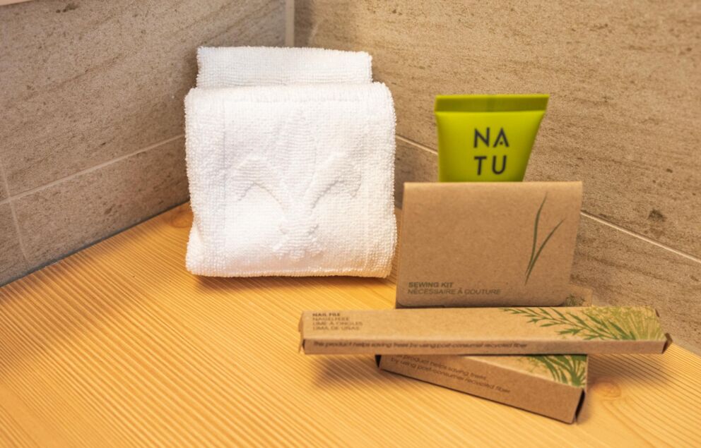 Asciugamani e prodotti per l'igiene sono presenti in bagno