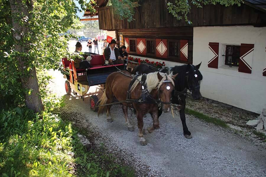 Eine geschmückte Pferdekutsche fährt eine Straße in Kärnten entlang