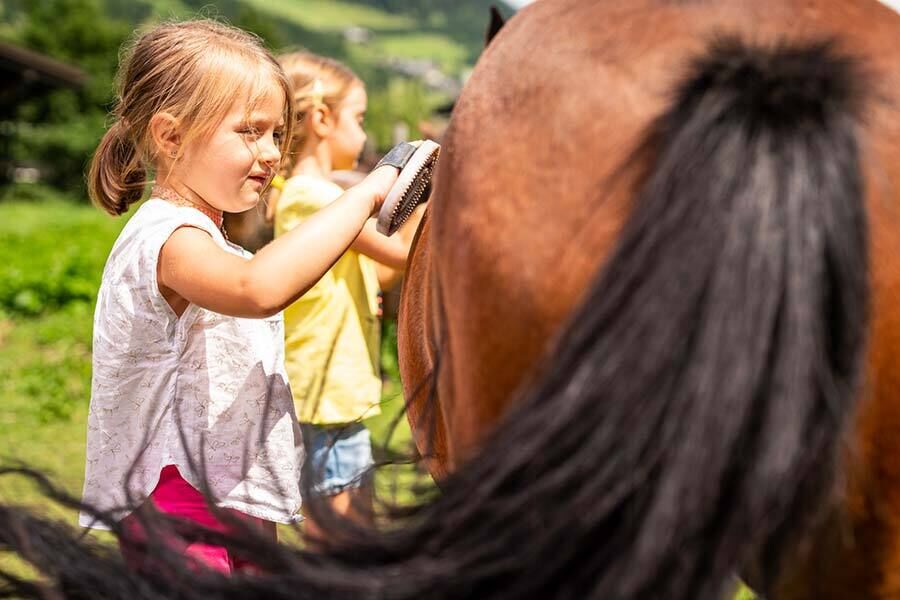 Zwei kleine Mädchen striegeln ein braunes Pony in Kärnten
