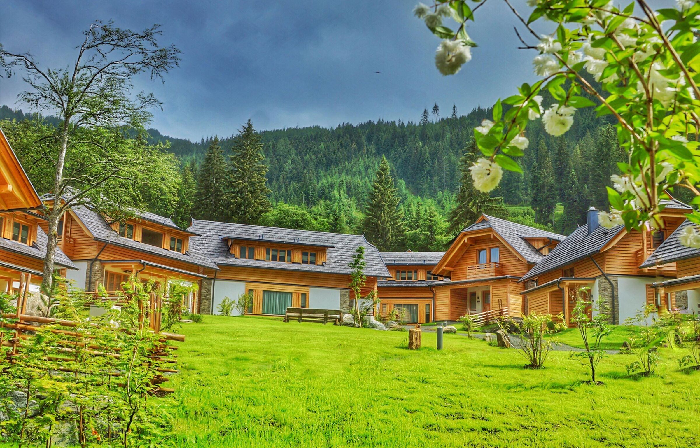 Green and sunny chalet landscape